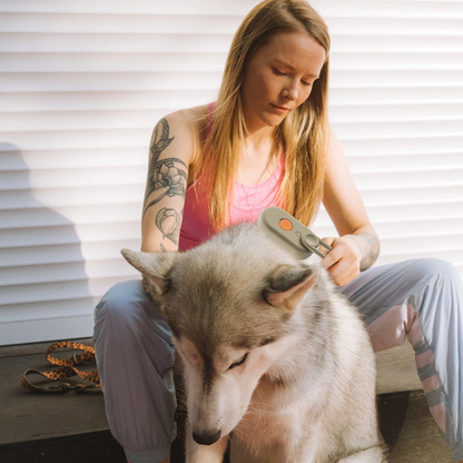 Fluff & Buff  —  The Viral Spa Brush Every Pet Loves